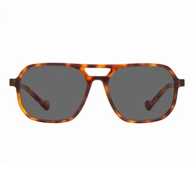 Ellis Clear Readers Indoors + Sun Readers Outdoors - Classic Tortoise